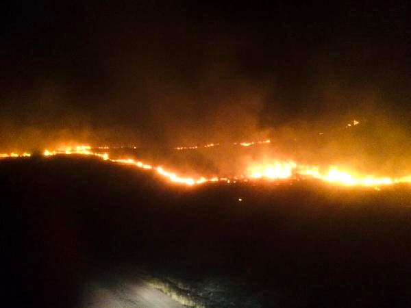 Ergani'de orman yangını 1.7 hektar alanda etkili oldu