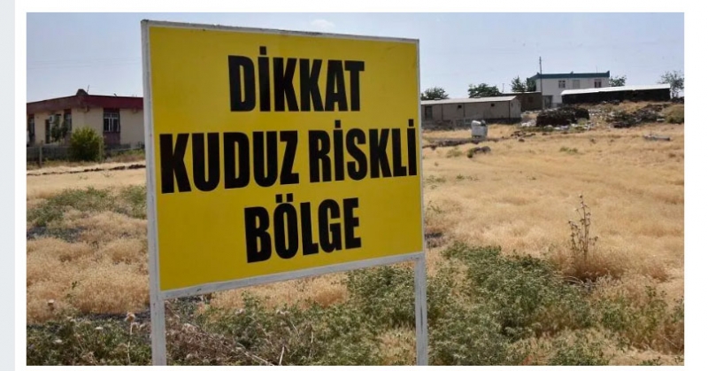17 yaşındaki genç kuduzdan öldü