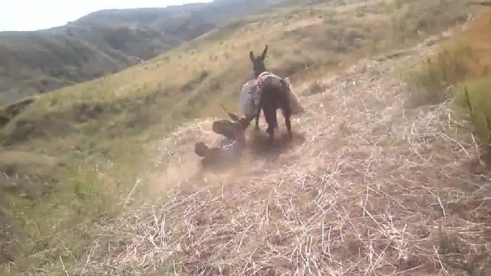 Ergani'de Eşekten Düşen A‡ocuk A–ldü