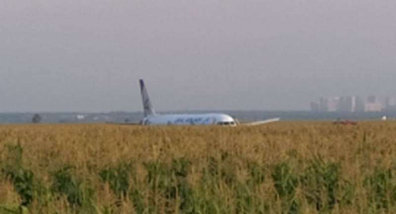 234 kişiyi taşıyan yolcu uçağı mısır tarlasına indi