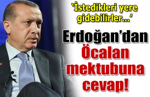Erdoğan: Silahlar bırakılsın, istedikleri yere gitsinler