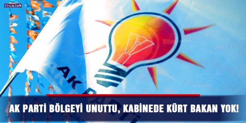 Ak Parti bölgeyi unuttu, Kabinede Kürt bakan yok!