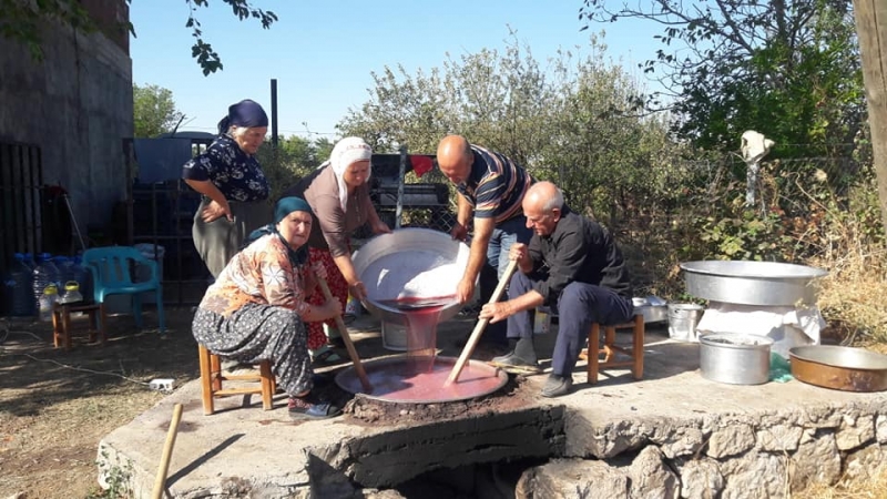 Bağ Bozumu Başladı