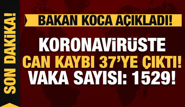 Bakan Koca son durumu açıkladı: Koronavirüste 7 can kaybı