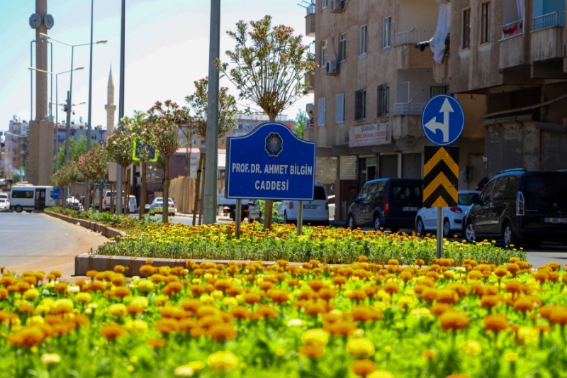 Diyarbakır dikilen çiçek ve ağaçlarla rengarenk 