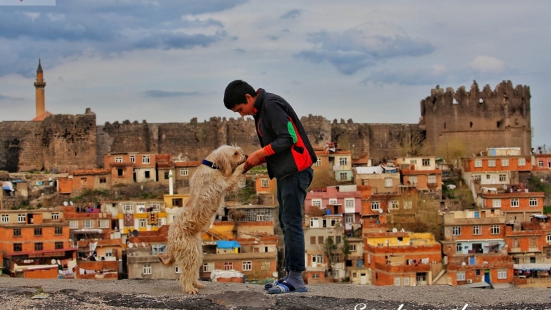 Diyarbakır’ı sevindiren gelişme