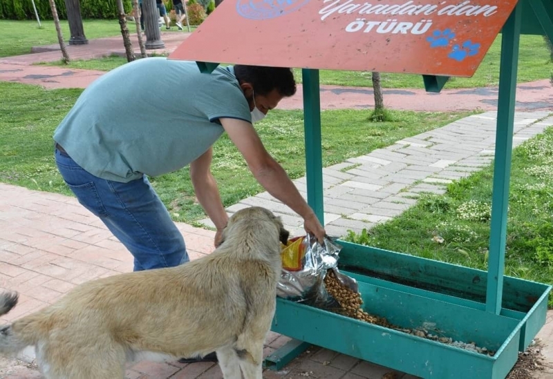 Ergani Belediyesi ekipleri sokak hayvanlarını unutmadı