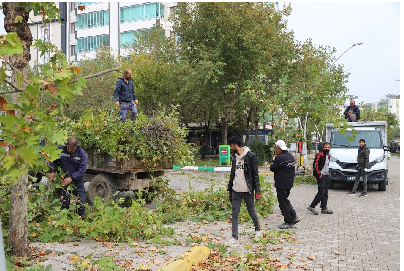 Ergani Belediyesi'nden Budama Çalışması