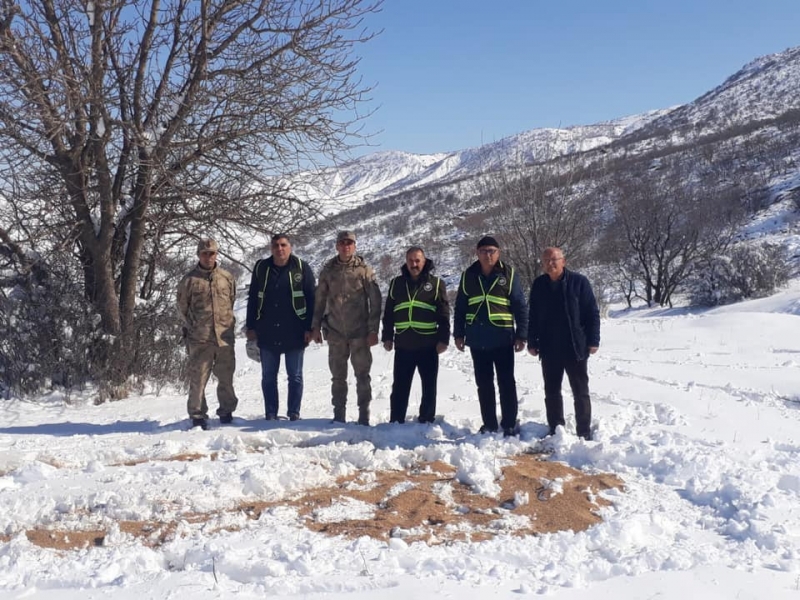 Ergani 'de Hayvanlar İçin Doğaya Yem Bırakıldı