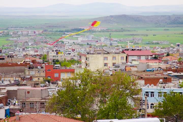 Ergani'de bu renkli kareler ortaya çıktı.