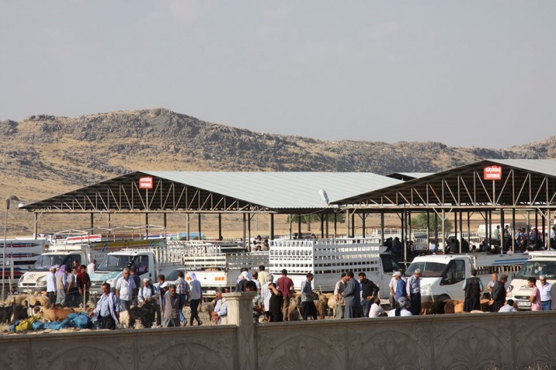 Ergani’de Hayvan Pazarı Geçici olarak kapatıldı