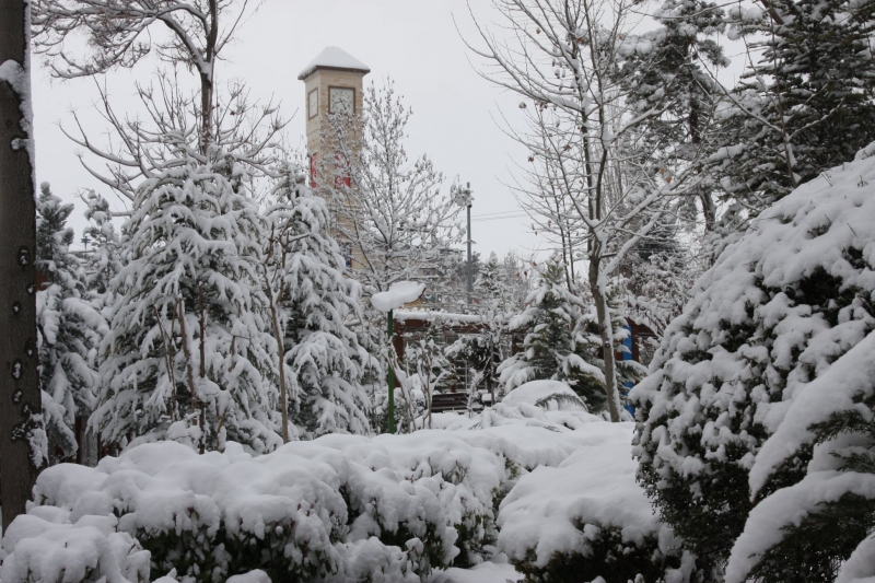 Ergani'de kar yağışı etkili oldu
