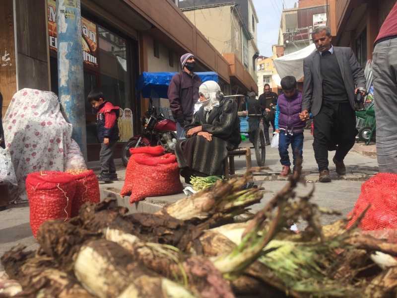 Ergani’de kenger sezonu açıldı