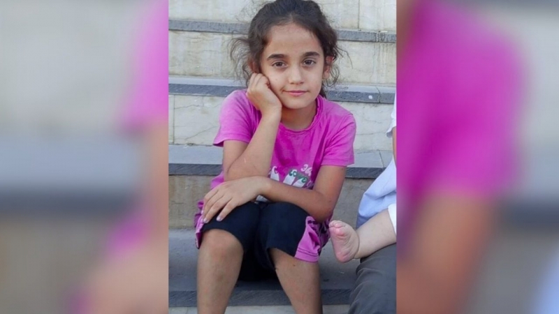 Ergani'de kuzen cinayetine 24 yıl ceza talebi