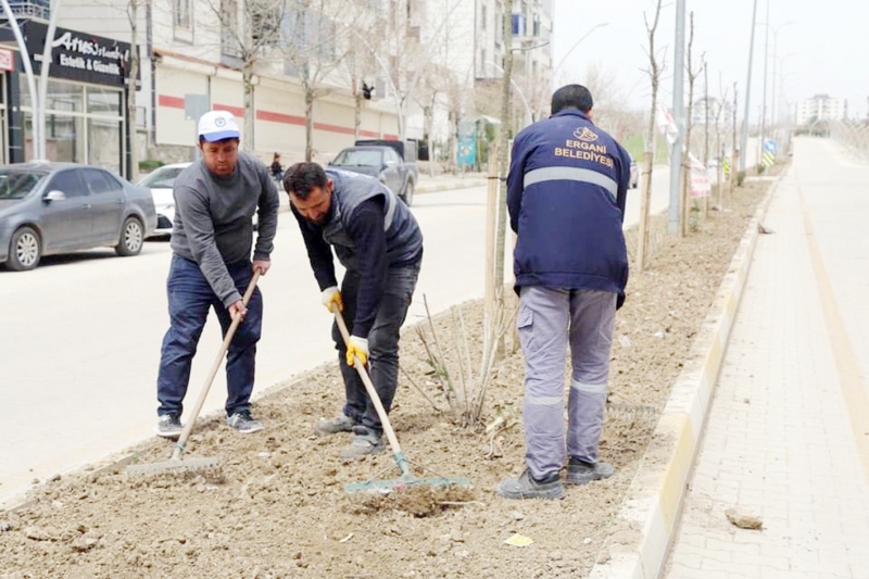 Ergani’de mevsimlik çiçek dikimi ve yabani ot temizliği  