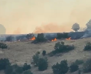 Ergani'de orman yangını: Rüzgarın etkisiyle büyüdü