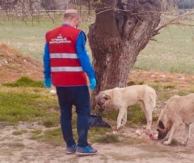 Ergani'de tam kapanma sürecinde sokak hayvanları unutulmadı