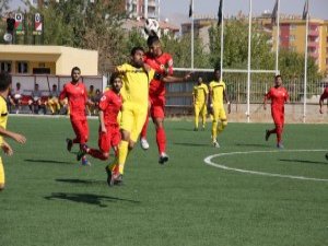 Erganispor'da 2 yönetici istifa etti