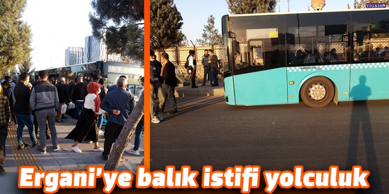 Ergani’ye balık istifi yolculuk