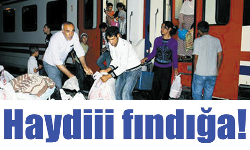 Haydiii fındığa