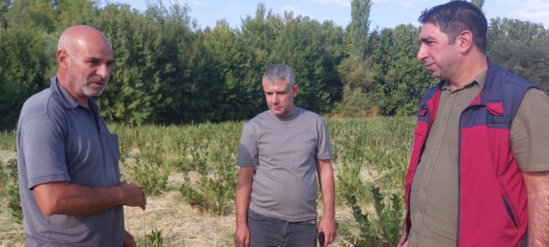 İlçe Tarım’dan Aronya bahçesine ziyaret