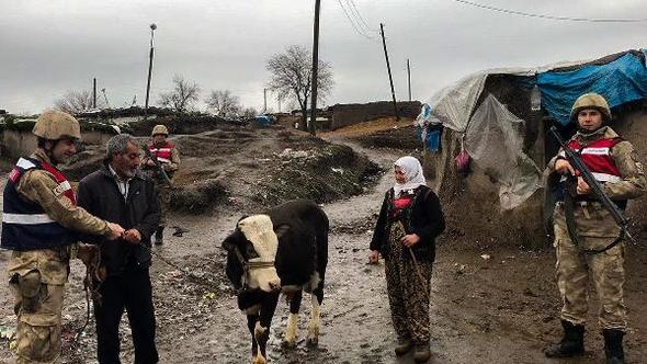 Diyarbakır'da 'inek' hırsızlığına 3 gözaltı