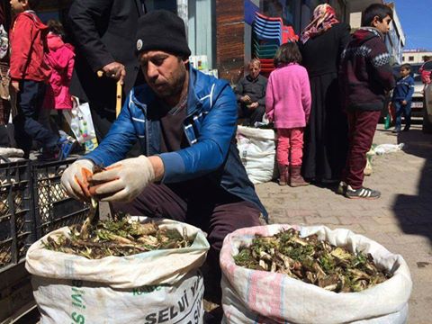 Ergani 'de kenger tezgahlarda yerini aldı