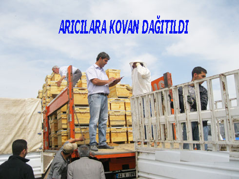 ARICILARA KOVAN DAĞITILDI