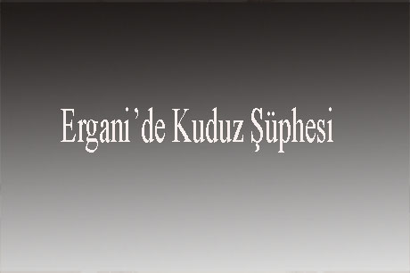 Erganiç™de Kuduz Şüphesi