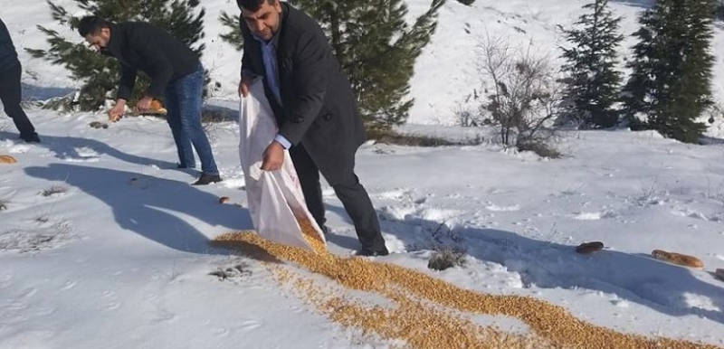 Sayan, Yaban hayvanları için doğaya yem bıraktı