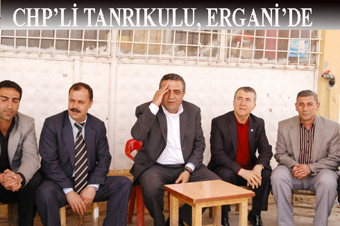 CHPç™Li TANRIKULU, ERGANiç™DE