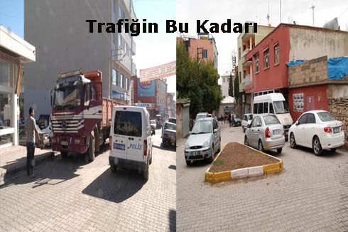 Trafiğin Bu Kadarı