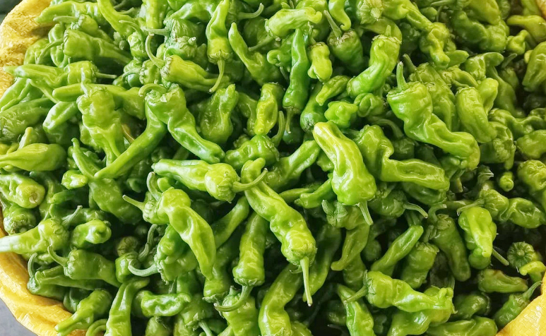 Tezgahın en pahalı biberi