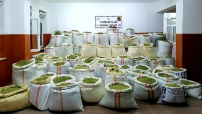 1 ton 756 kilo esrar, 90 bin kök kenevir ele geçirildi