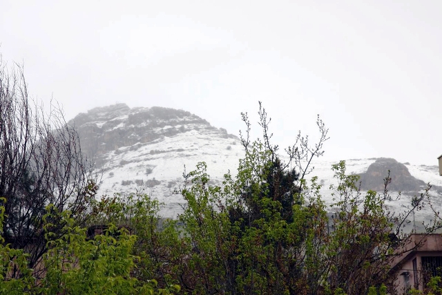 25 YIL SONRA ERGANi'YE NiSAN KARI YAĞDI