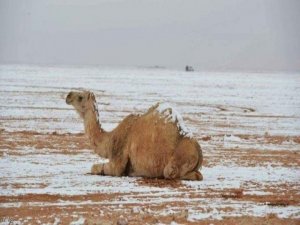 37 yıl sonra kar yağdı