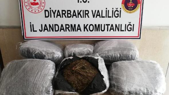 47 kilo esrar ele geçirildi