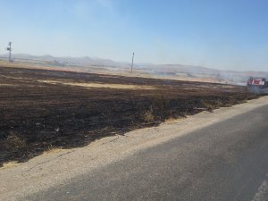 Ergani'de anız yangını