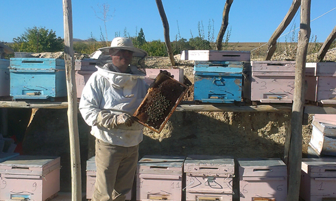 Ergani'de Yükselen Sektör Arıcılık