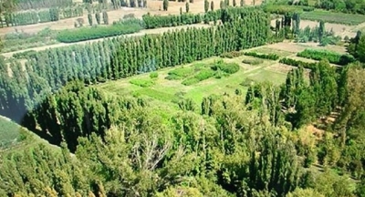 Atatürk Orman Çiftliği arazisi için yürütmeyi durdurma kararı