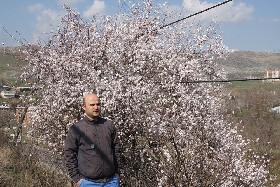 Ergani'de bademler çiçek açtı