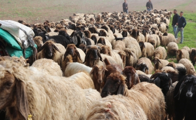 Bayram tatili kaç gün olacak 