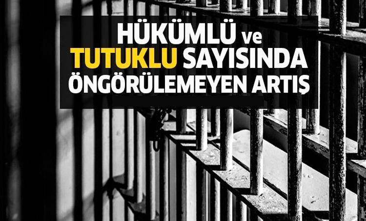 Beş yılda 193 yeni cezaevi yapılacak