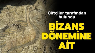 Bizans dönemine ait mozaiği çiftçiler buldu
