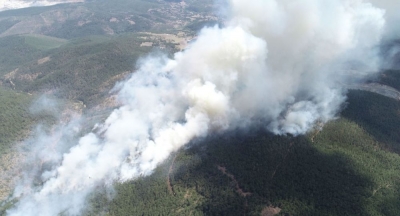 Bursa'da orman yangını, yangın 9 alana intikal etti