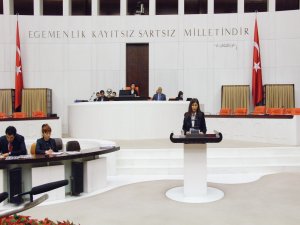 Diyarbakır surları meclis gündeminde