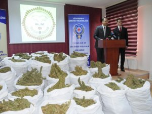 Diyarbakır uyuşturucu bataklığında