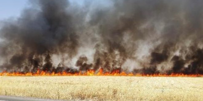 Diyarbakır'da korkutan yangın
