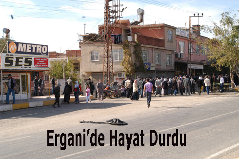 Erganiç™de Hayat Durdu