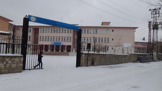 Ergani'de Okullar Tatil Edildi